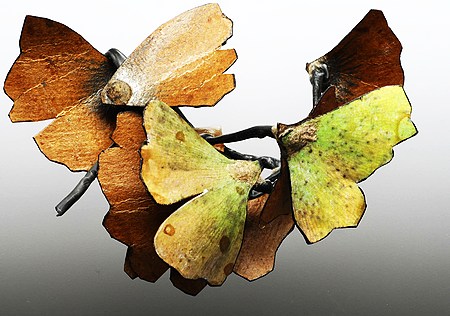 Ross Malcolm, Ginko brooch, 2014