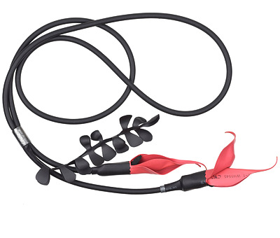 Kakabeak pendant by Lynn Kelly