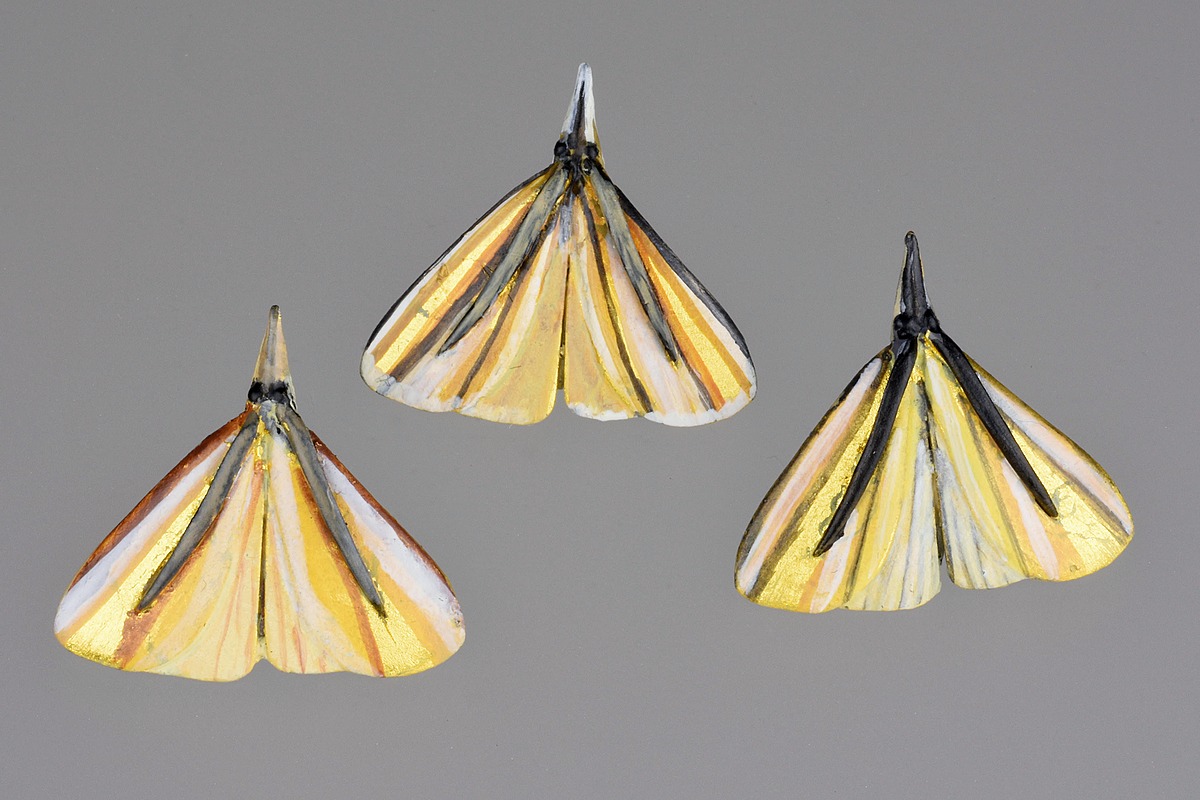 Tania Patterson, Grass Moth Brooches