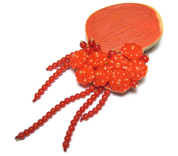 Melinda Young, Spurt Brooch